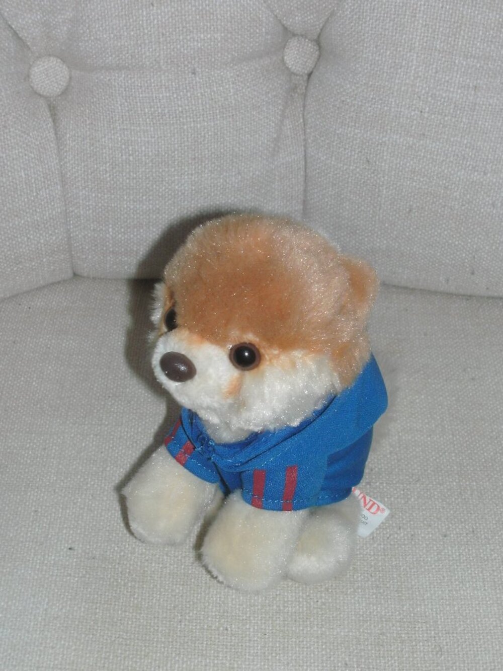 Collectible Itty Bitty Boo World's Cutest Puppy Dog Pomeranian Stuffed Animal 5"